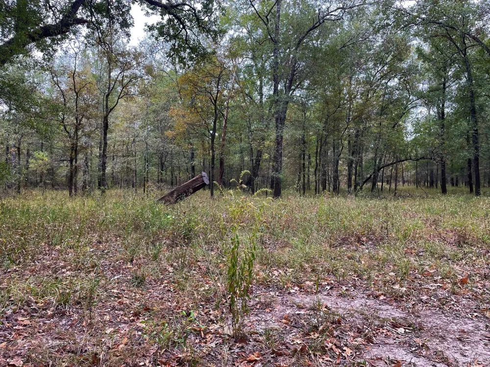 Fm-247 Midway, TX 75852