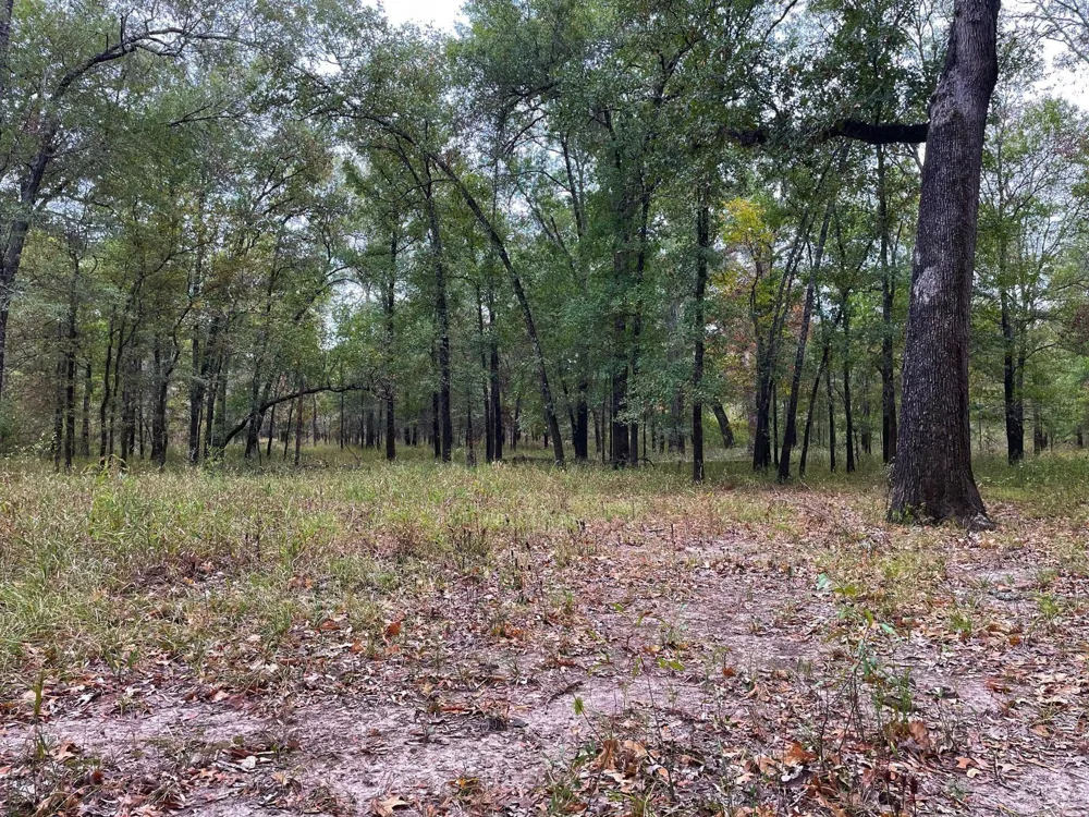 Fm-247 Midway, TX 75852