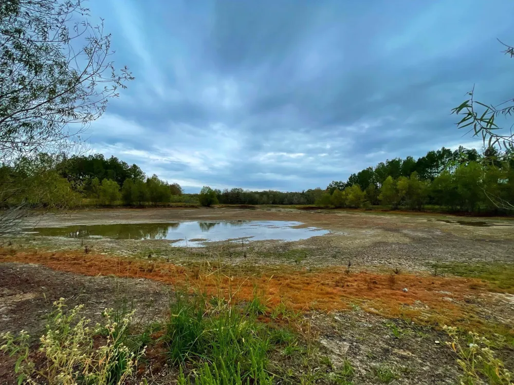 Fm-247 Midway, TX 75852