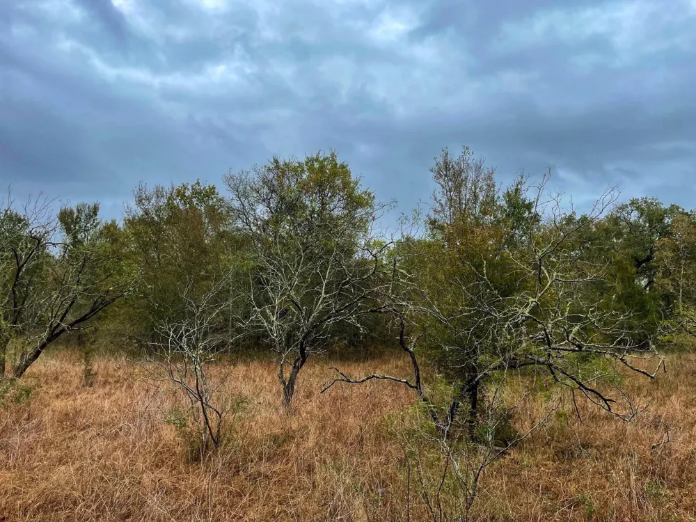 Fm-247 Midway, TX 75852