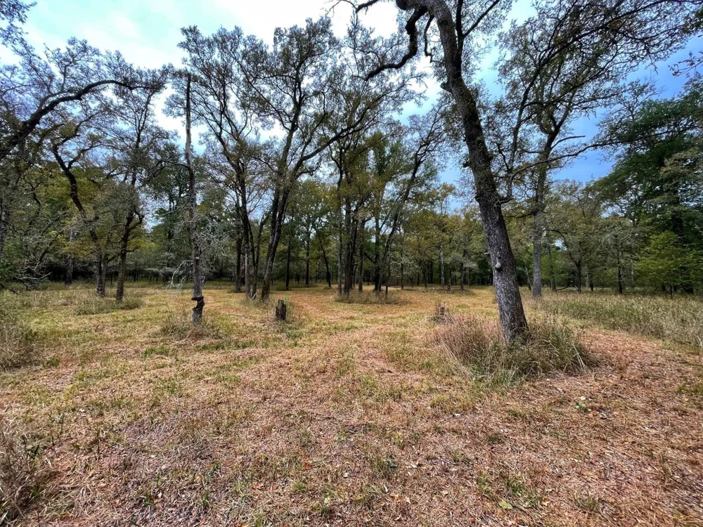 Fm-247 Midway, TX 75852