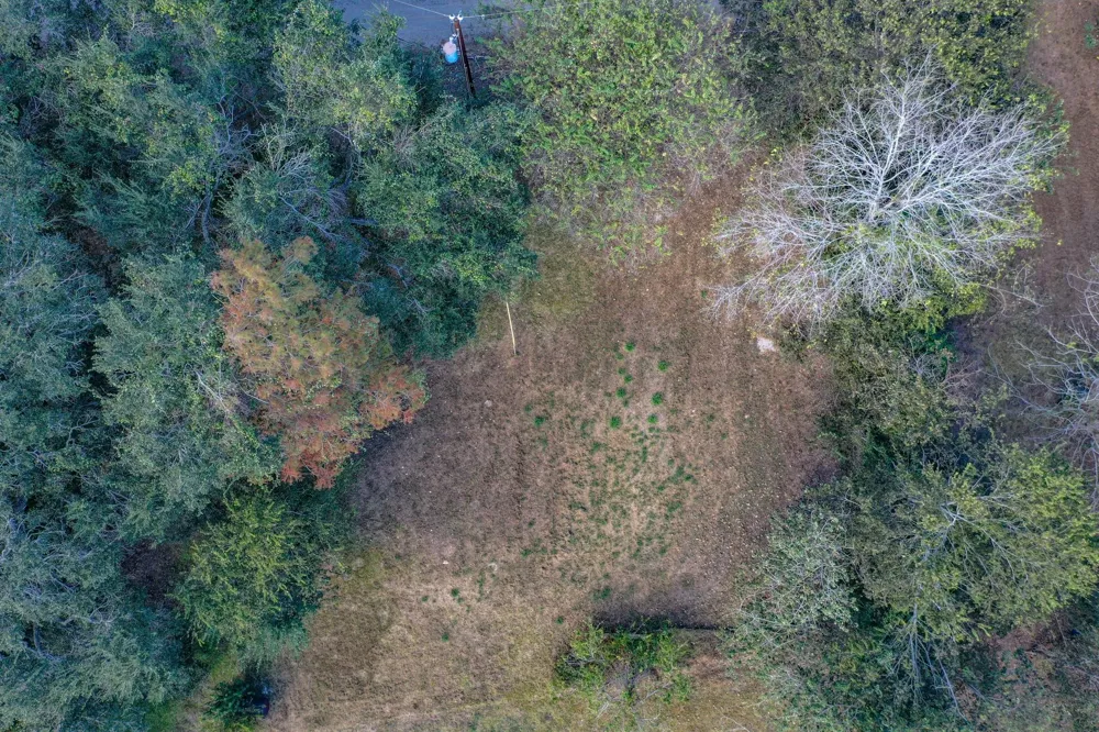 1617 Azalea Drive Wharton, TX 77488