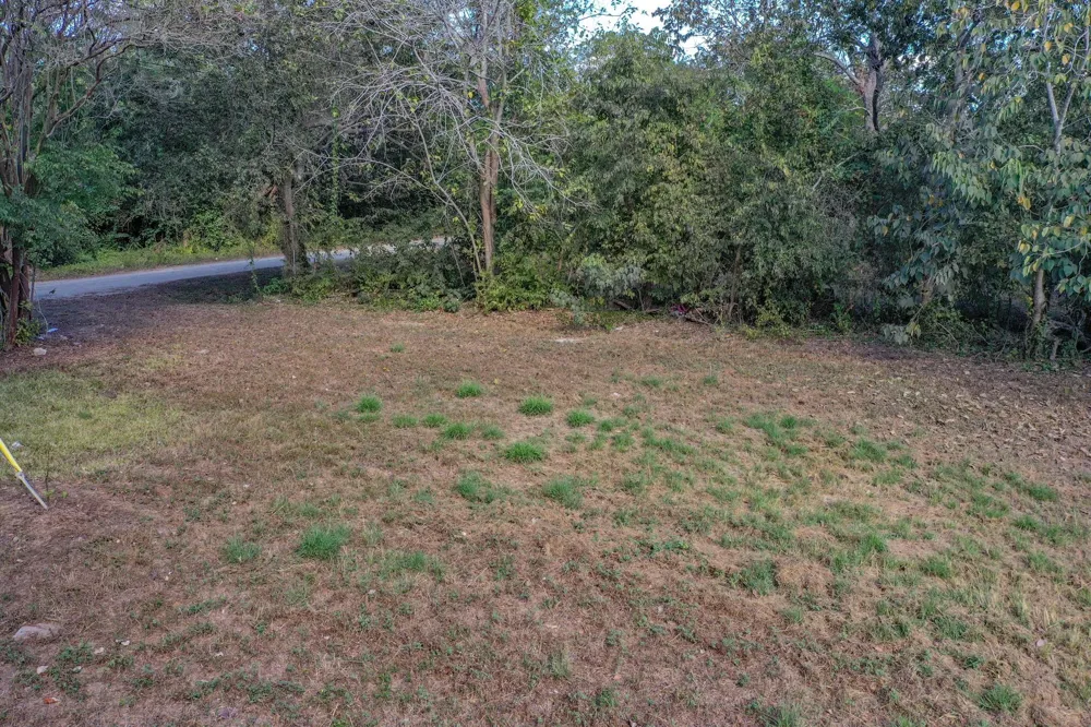 1617 Azalea Drive Wharton, TX 77488