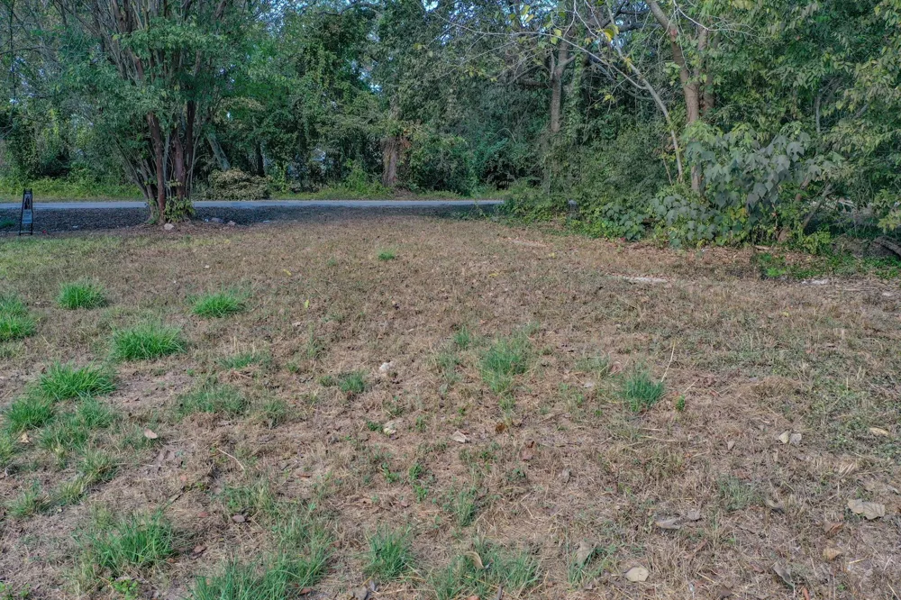1617 Azalea Drive Wharton, TX 77488