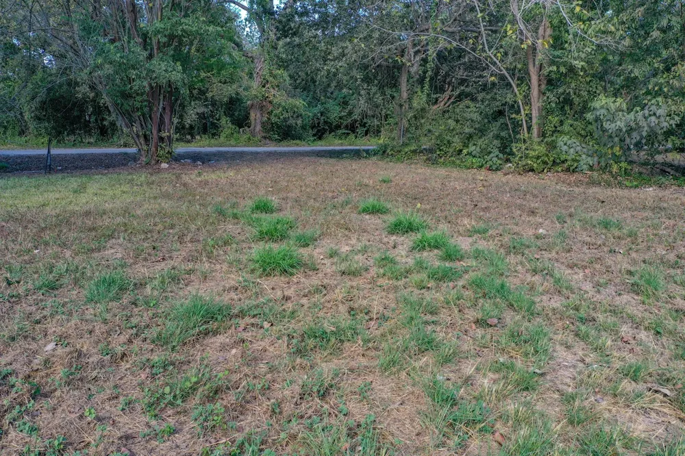 1617 Azalea Drive Wharton, TX 77488
