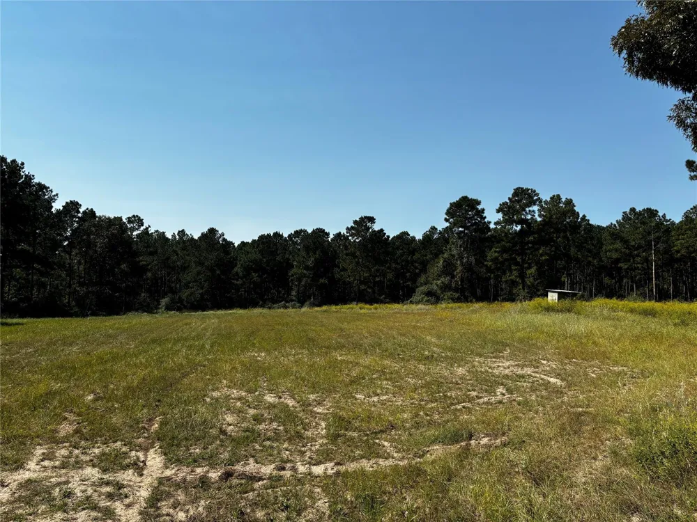 3 Trinity Lady Park Road W Trinity, TX 75862