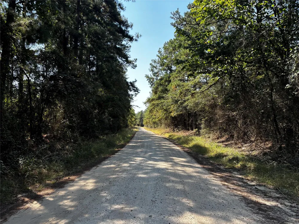 3 Trinity Lady Park Road W Trinity, TX 75862