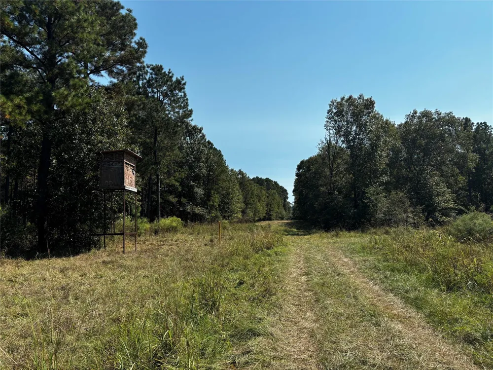 3 Trinity Lady Park Road W Trinity, TX 75862