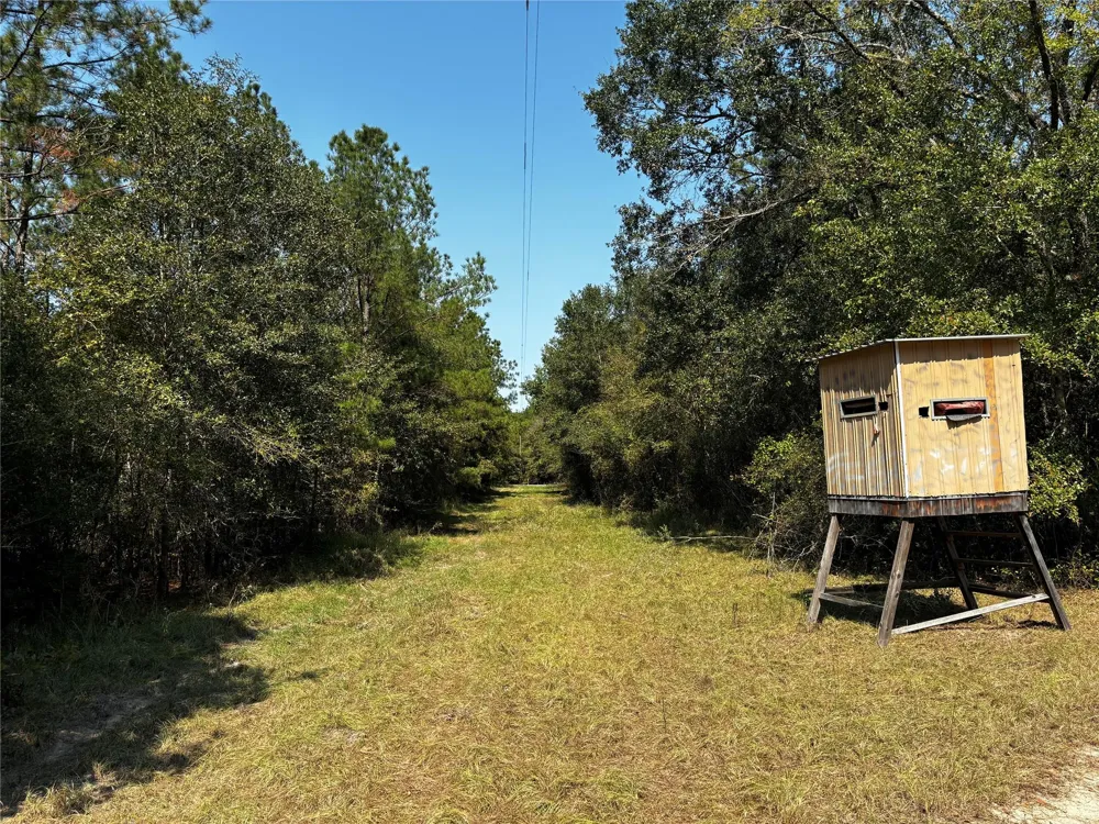 4 Trinity Lady Park Road Trinity, TX 75862
