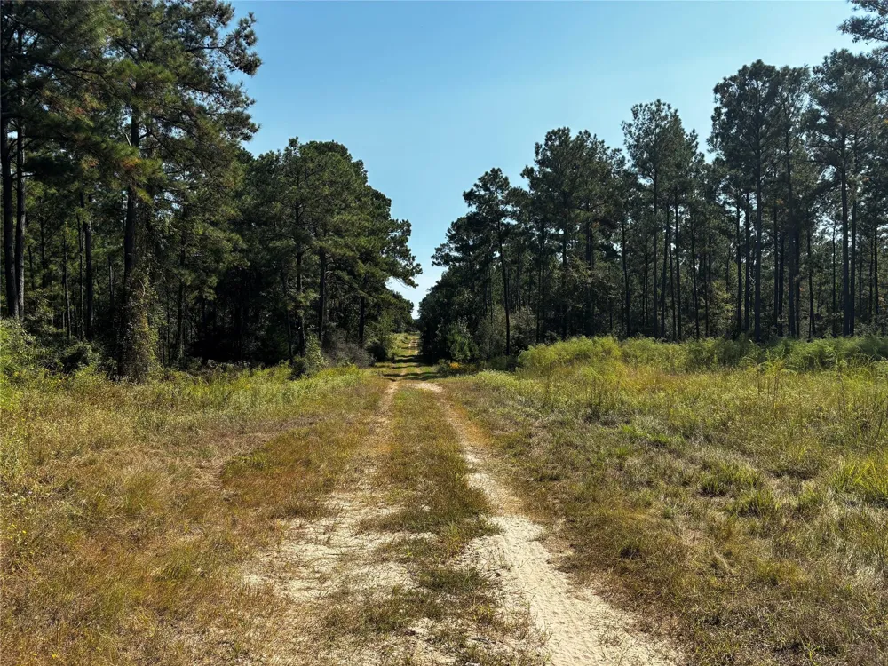 4 Trinity Lady Park Road Trinity, TX 75862