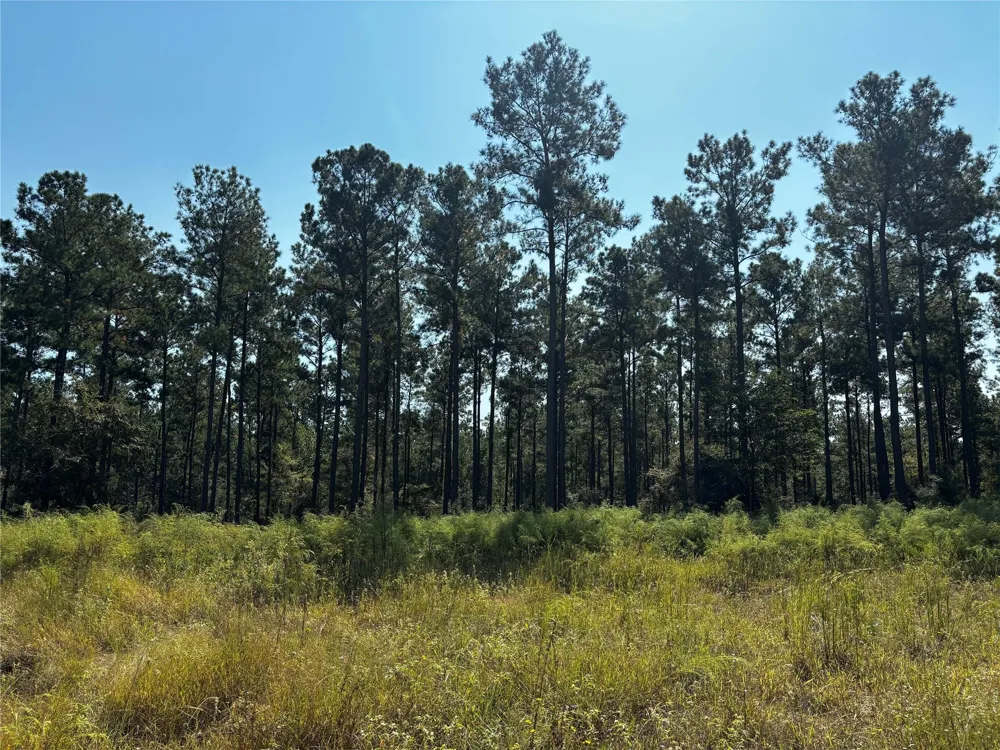 4 Trinity Lady Park Road Trinity, TX 75862