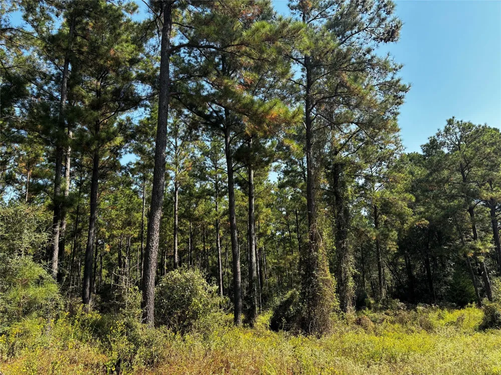 2 Trinitylady Park Road Trinity, TX 75862