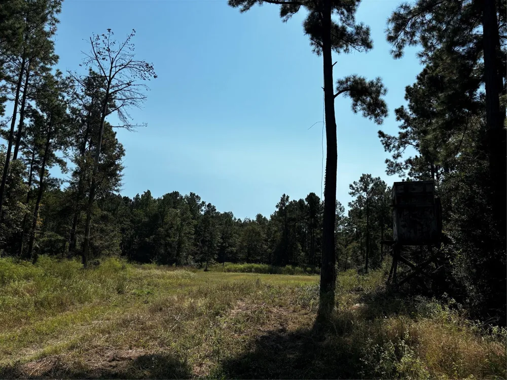 5 Trinity Lady Park Road Trinity, TX 75862