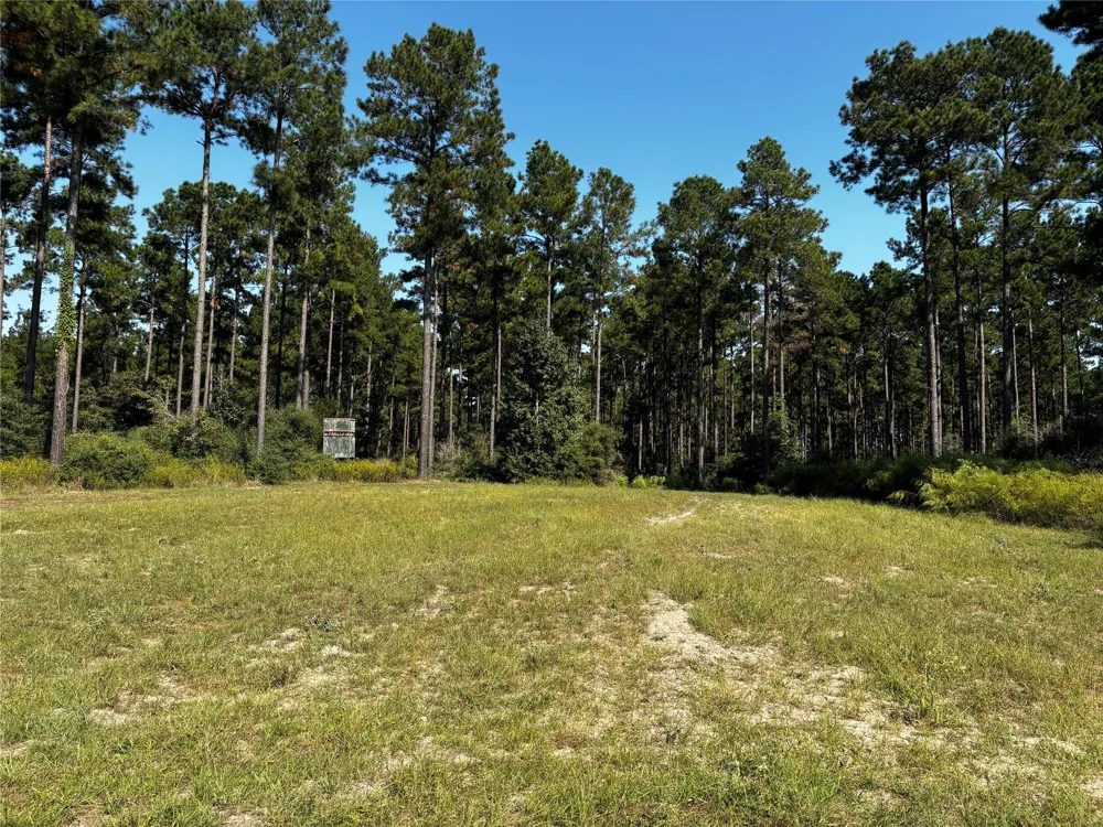 5 Trinity Lady Park Road Trinity, TX 75862