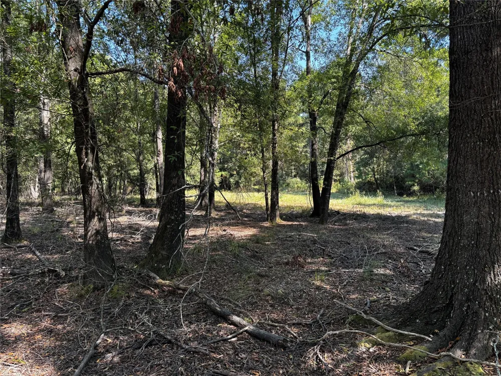 5 Trinity Lady Park Road Trinity, TX 75862