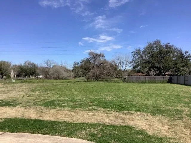 32707 Warbler Court Fulshear, TX 77441