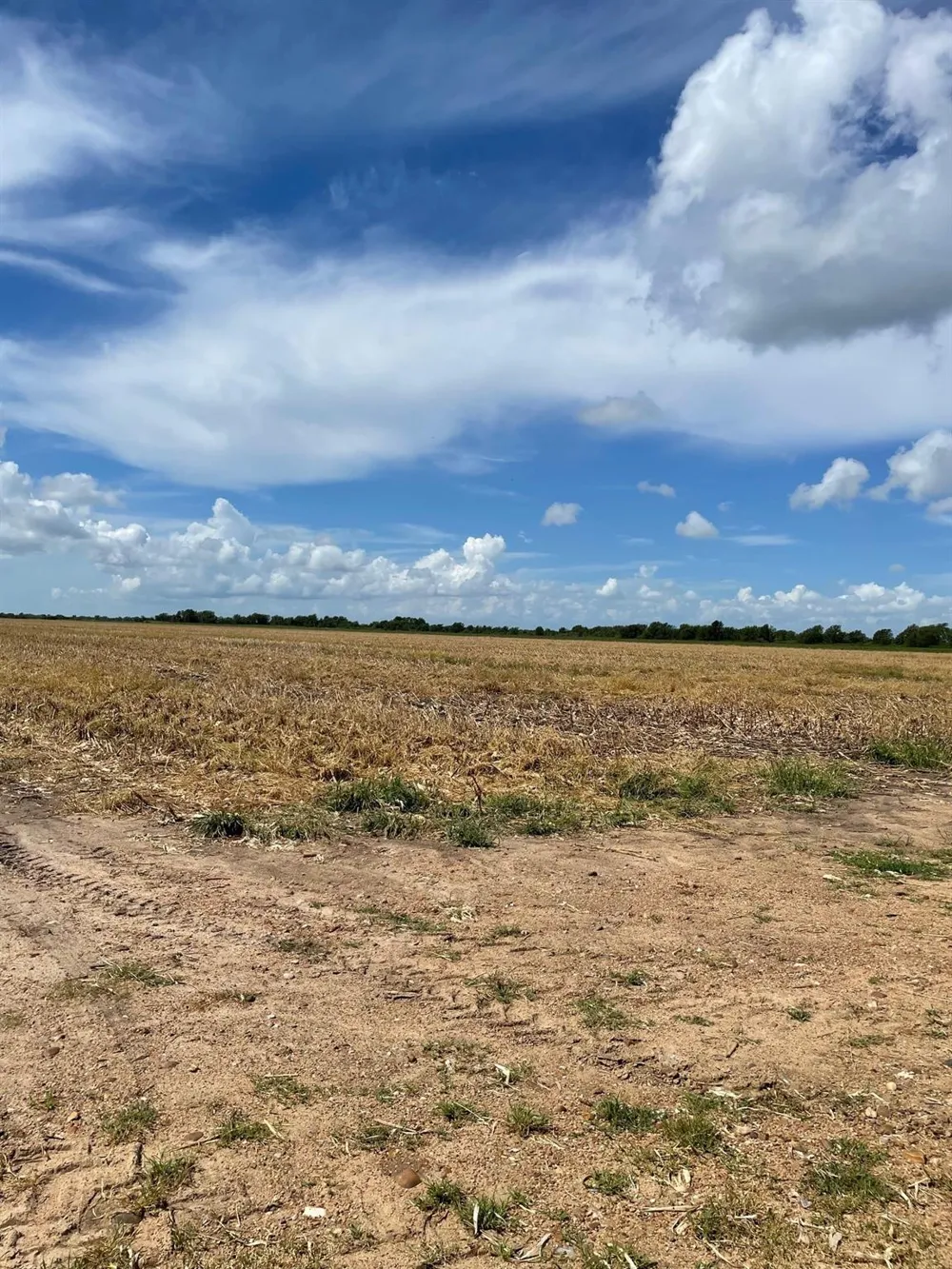 1 County Road 414 El Campo, TX 77437