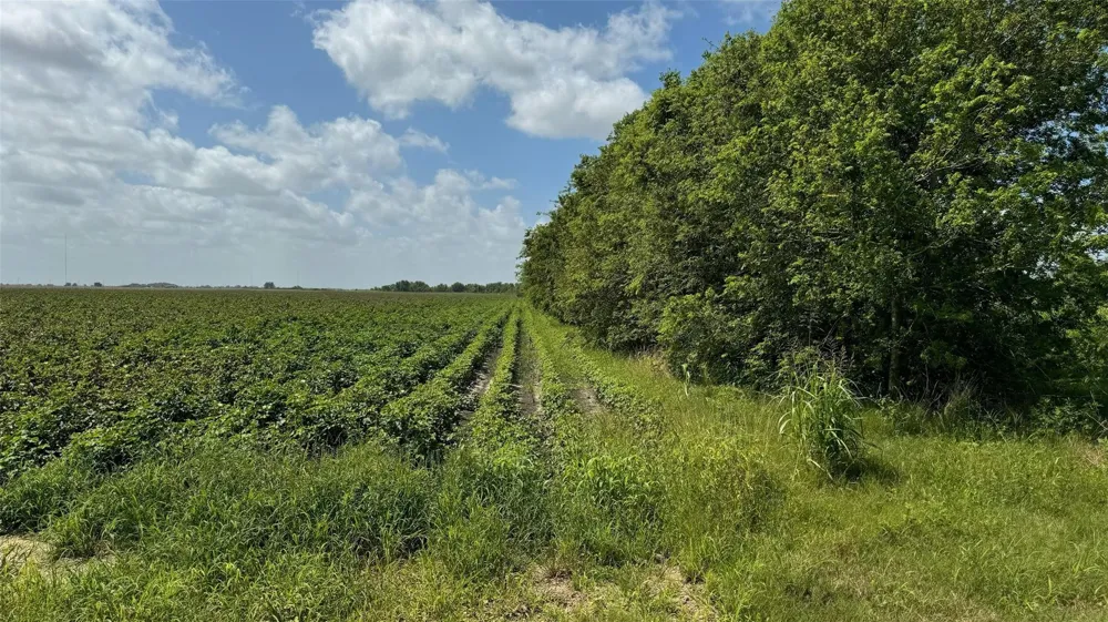 1 County Road 414 El Campo, TX 77437