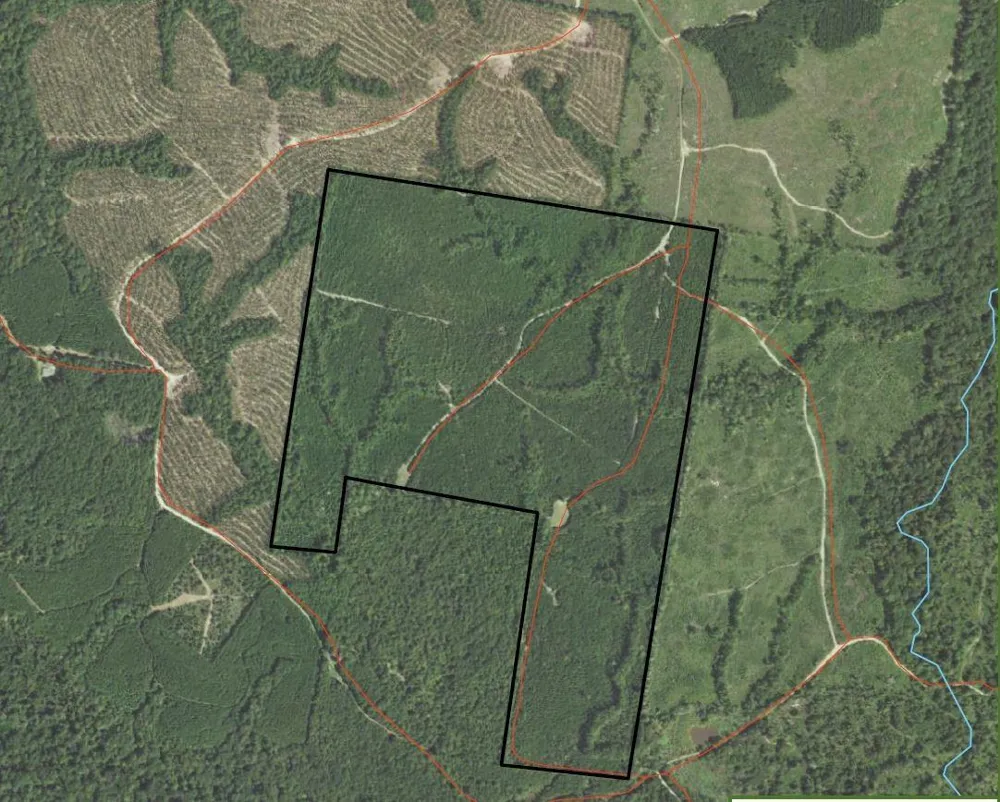 Private Rd Off Fm1751 Bronson, TX 75930