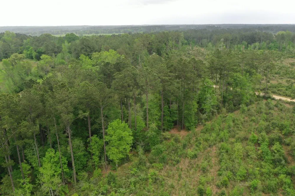 2 Cr 255 San Augustine, TX 75972