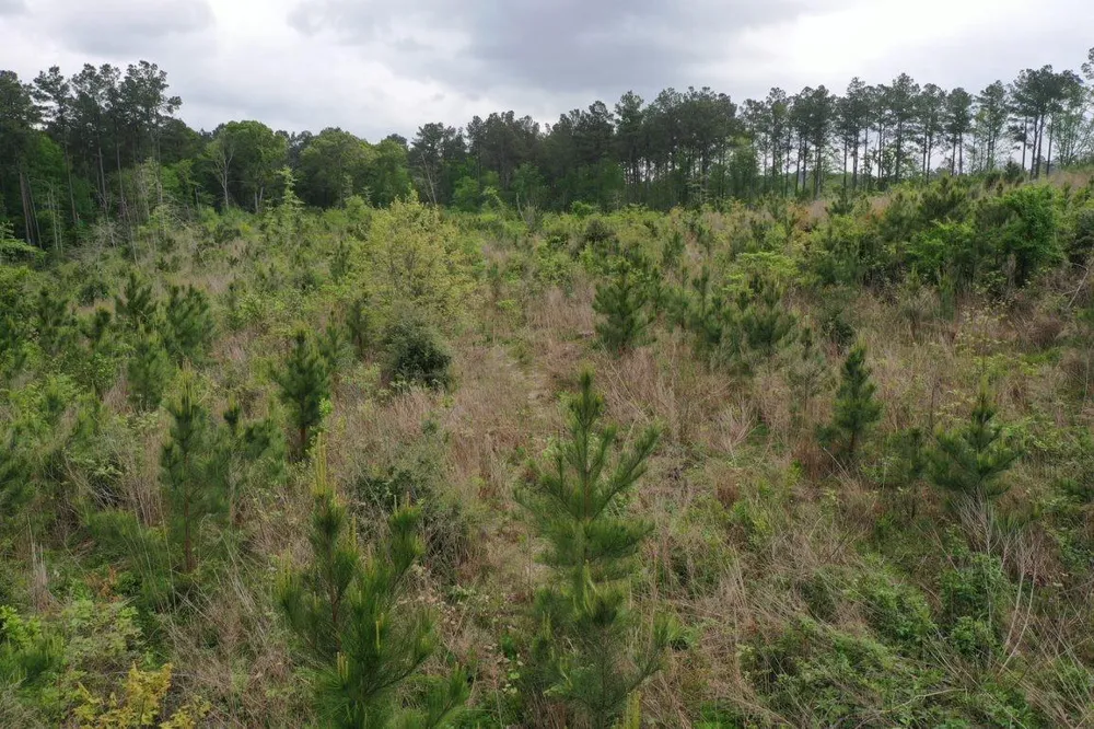 2 Cr 255 San Augustine, TX 75972