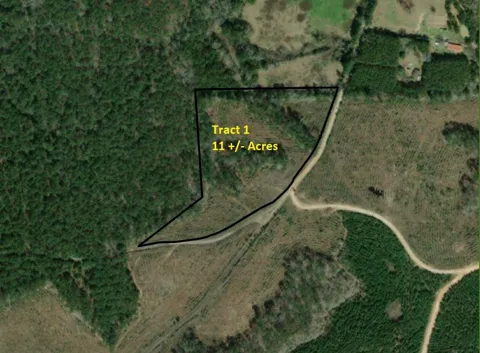 1 Cr 255