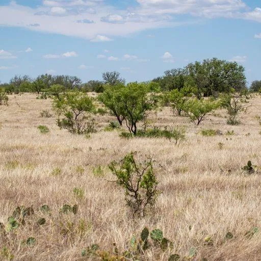 Starks Road Mason, TX 76856