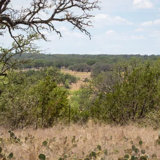 Starks Road Mason, TX 76856