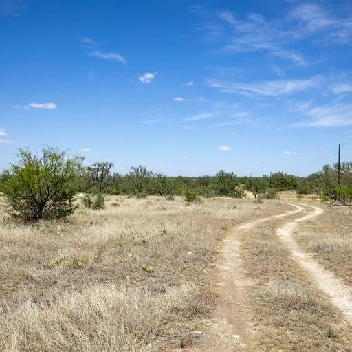 Starks Road Mason, TX 76856