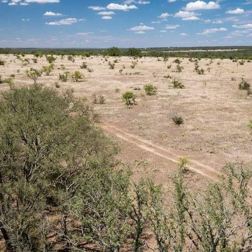 Starks Road Mason, TX 76856
