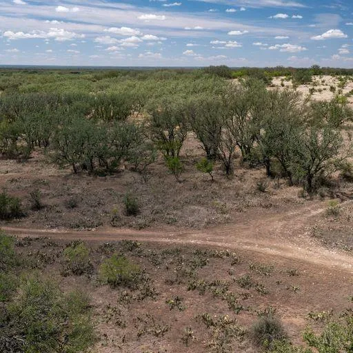 Starks Road Mason, TX 76856