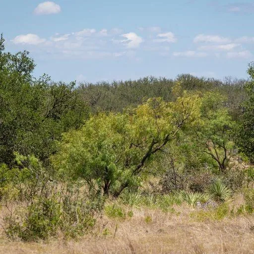 Starks Road Mason, TX 76856