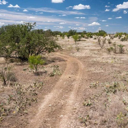 Starks Road Mason, TX 76856