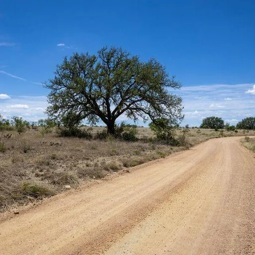 Starks Road Mason, TX 76856