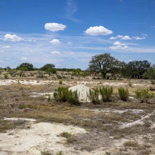 Starks Road Mason, TX 76856