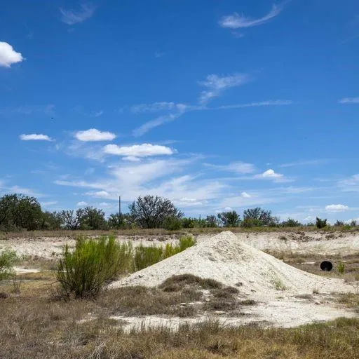 Starks Road Mason, TX 76856