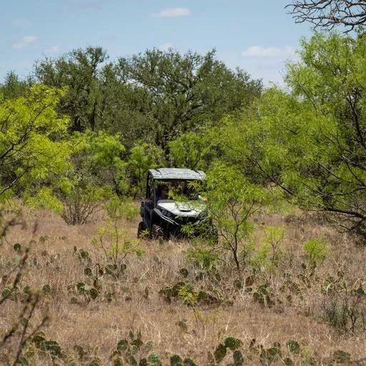 Starks Road Mason, TX 76856