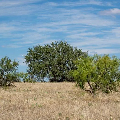 Starks Road Mason, TX 76856