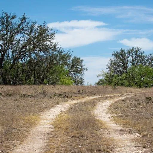 Starks Road Mason, TX 76856