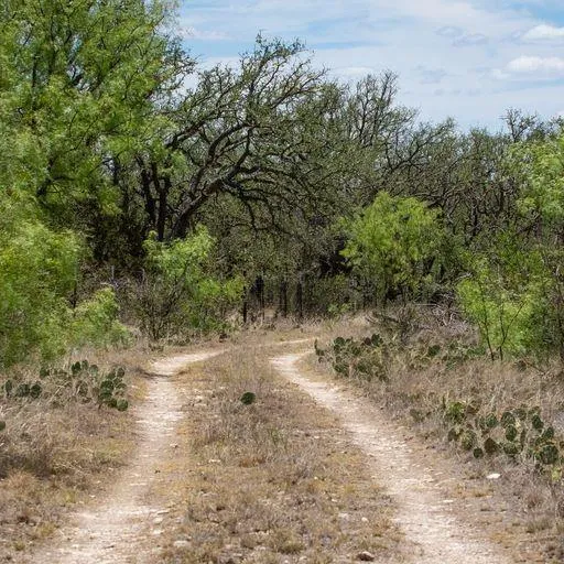 Starks Road Mason, TX 76856