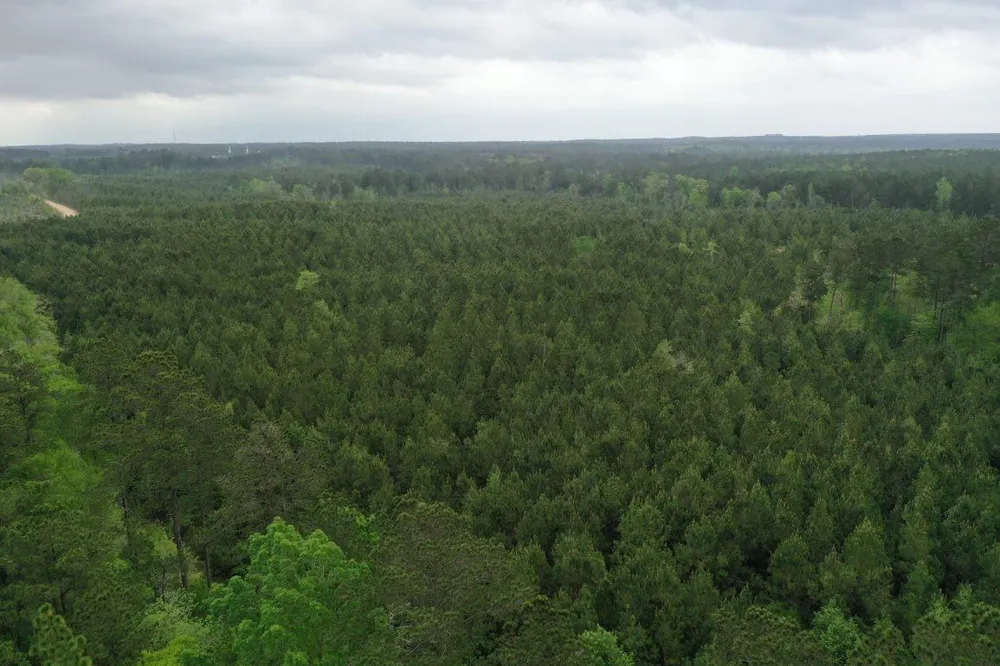 3 Cr 255 San Augustine, TX 75972