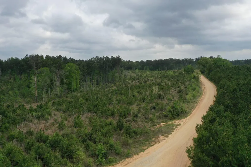 3 Cr 255 San Augustine, TX 75972
