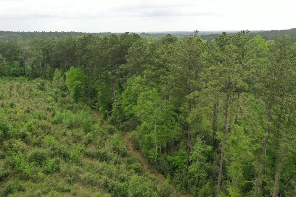 3 Cr 255 San Augustine, TX 75972
