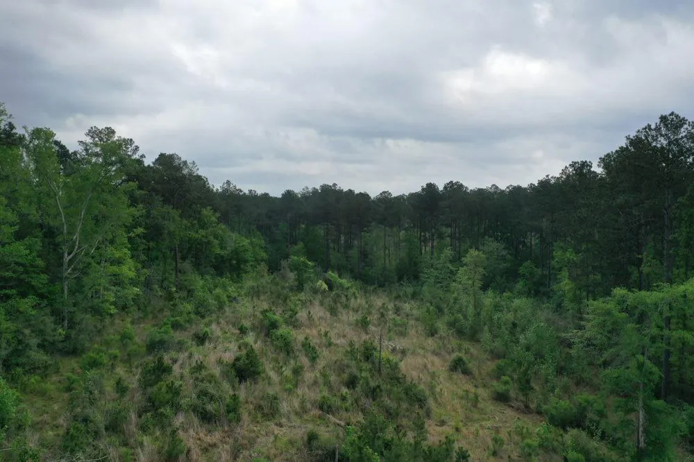 3 Cr 255 San Augustine, TX 75972