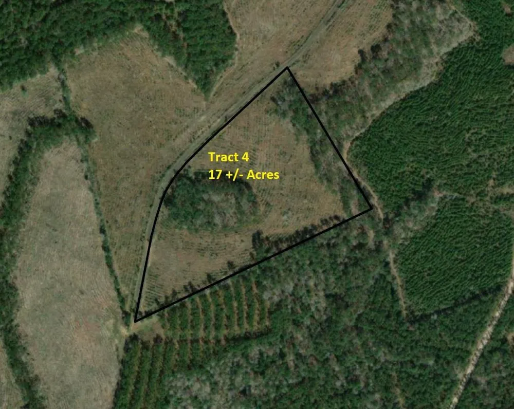 4 Cr 255 San Augustine, TX 75972