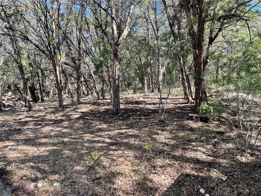 638 Sierra Ridge Canyon Lake, TX 78133