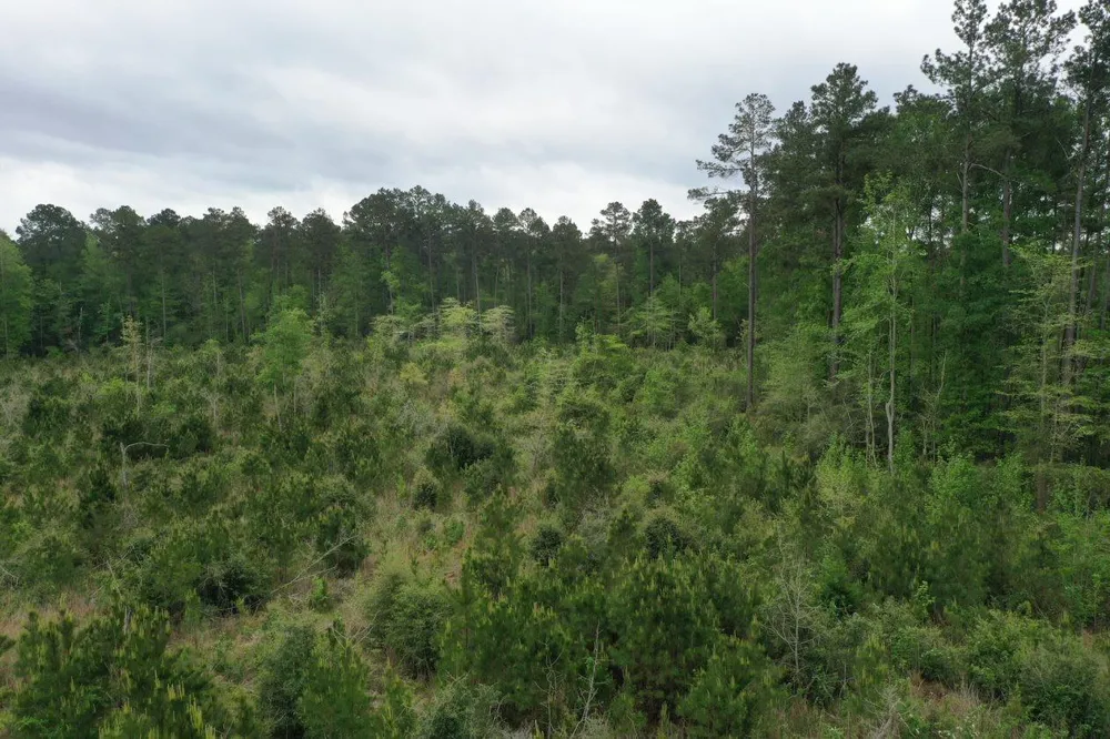 5 Cr 255 San Augustine, TX 75972