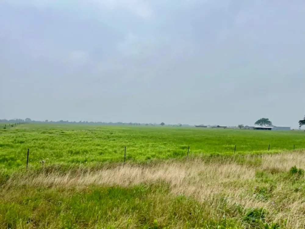 3575 Fm 1094 Road Sealy, TX 77474