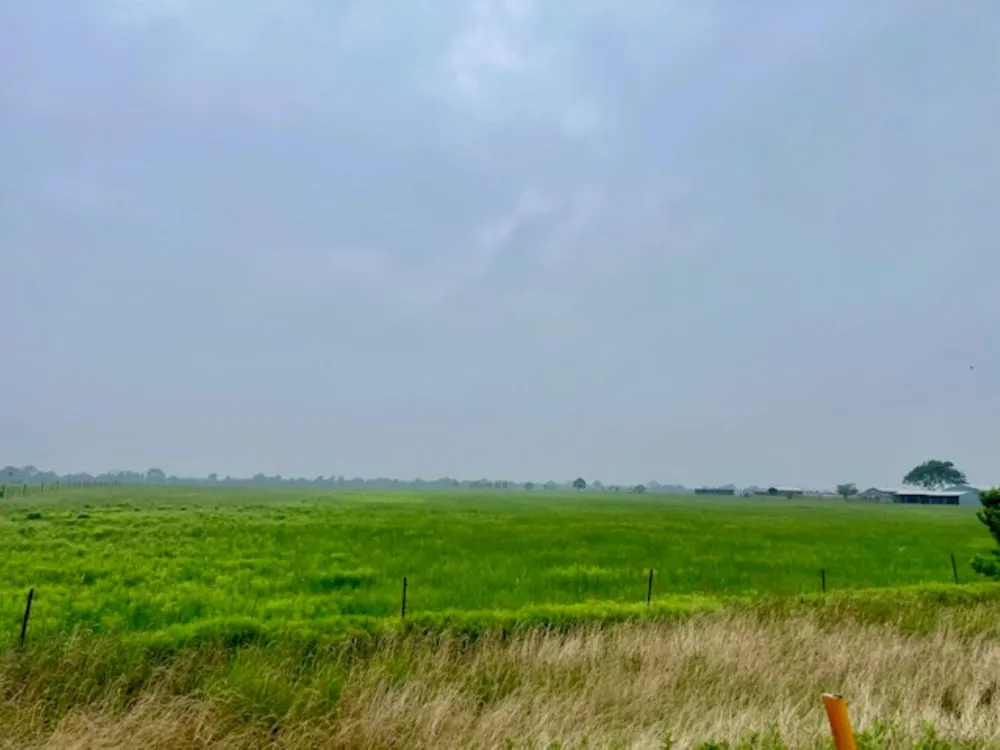 3575 Fm 1094 Road Sealy, TX 77474