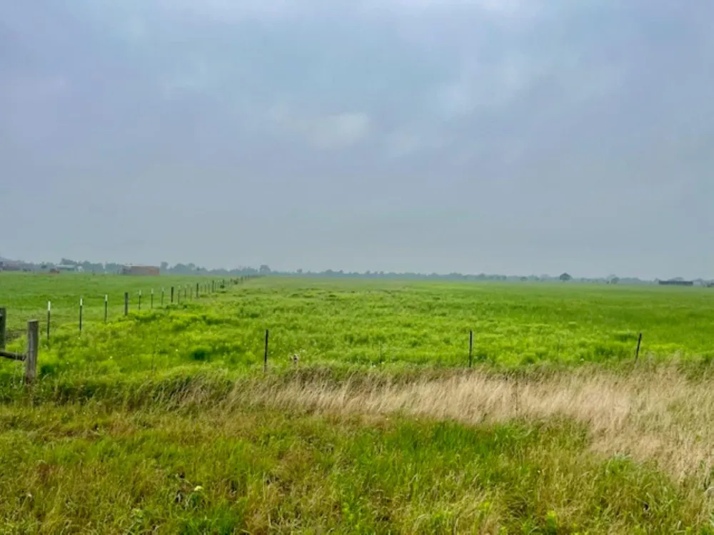 3575 Fm 1094 Road Sealy, TX 77474